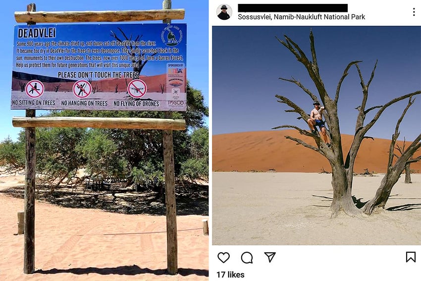 Hinweisschild Influencer posiert auf abgestorbenem Kameldornbaum Dead Vlei Sossusvlei Namibia