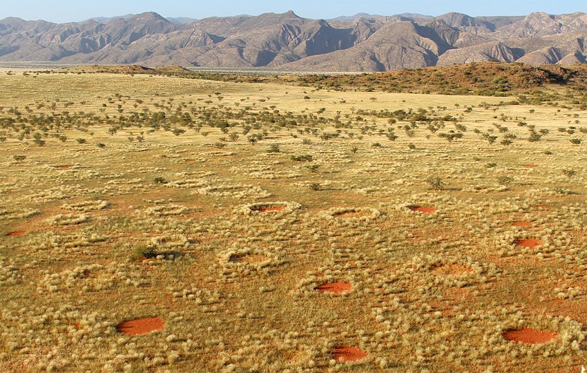 Feenkreise Namib-Wüste Marienfluss-Tal Namibia