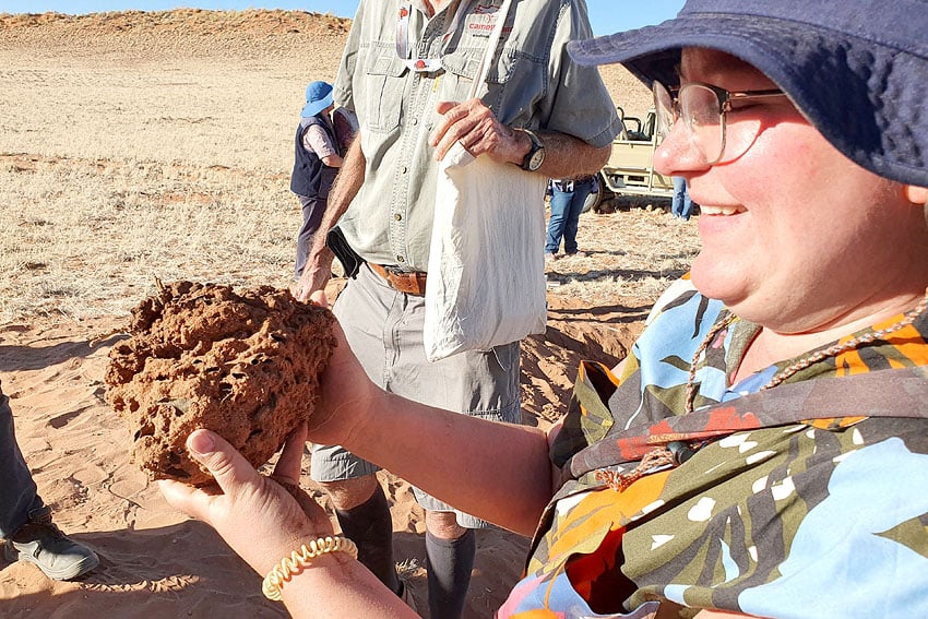 Feenkreis Felicitas Gunter Sandtermite Psammotermes Nest Namib-Wüste Gondwana Namib Park Namibia