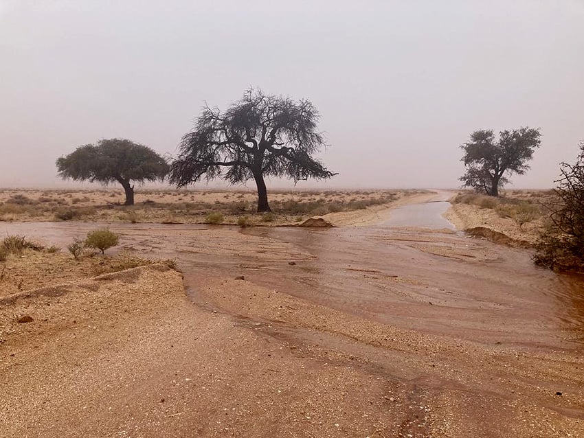 Winterregen Rivier Trockenfluss Aus Namibia