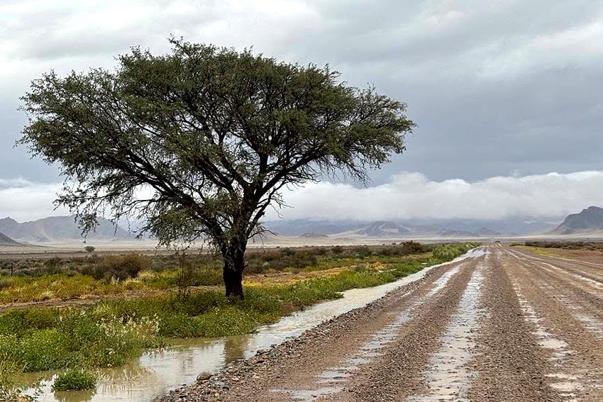 Winterregen auf Straße C19 zwischen Solitaire und Sesriem Foto Post vom 19. Juni 2026 auf Facebook-Seite von Gondwana Collection Namibia