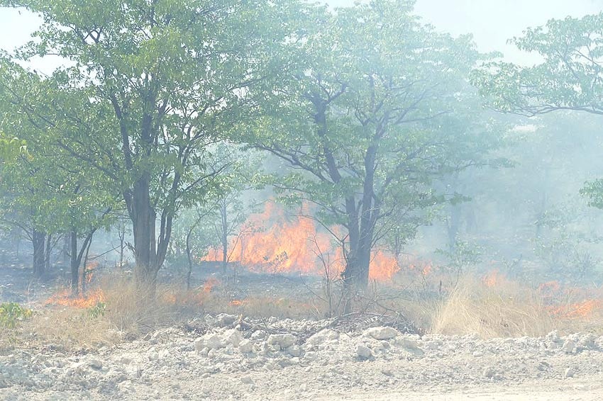 Veldbrand im Etosha Nationalpark im Oktober 2026 Foto Ministerium für Umwelt Forstwesen Tourismus MEFT