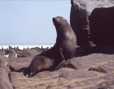 Skeleton Coast & Luderitz Fly-In Safari