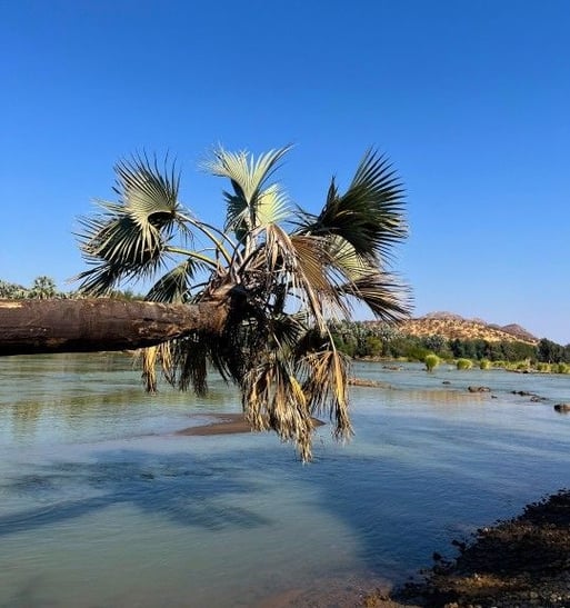 River Island in Angola, River Rafting excursion, Photo by Gondwana Collection Namibia