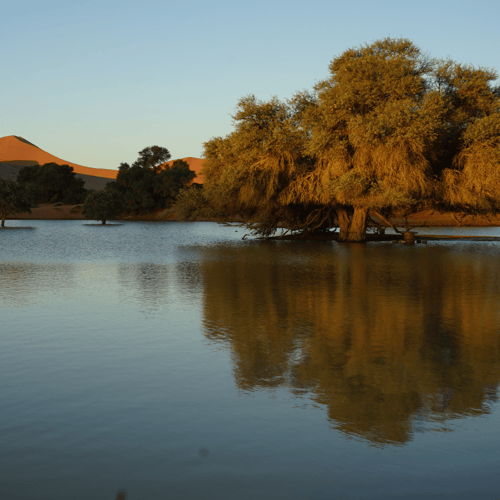Sossusvlei gets rain, Namibia