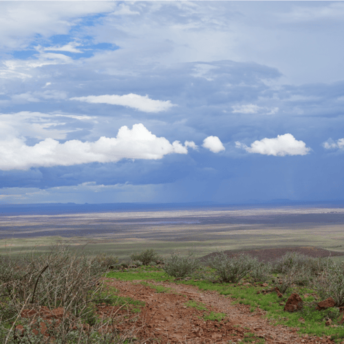 Namibian landscape, rainy season