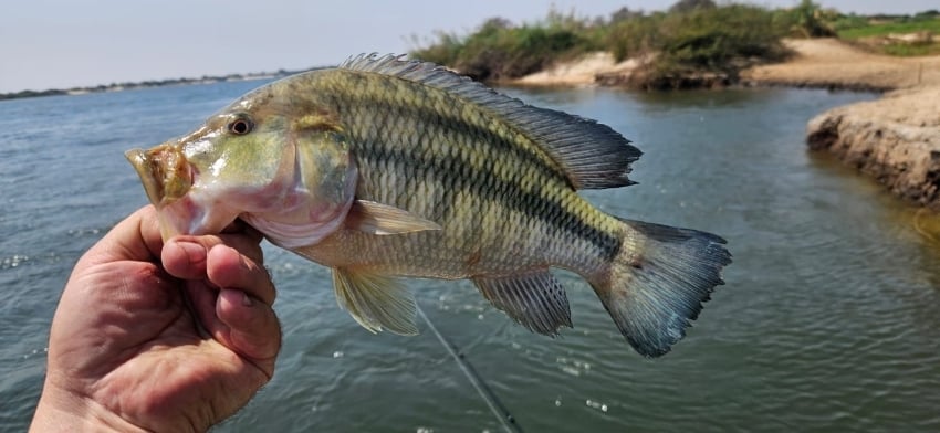 Anglers fishing the Zambezi River during the Zambezi Classic 2026 competition in Namibia