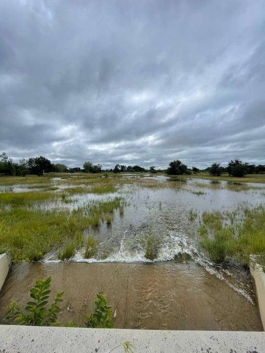 Flooded Zambezi River flowing in Namibia