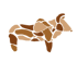 HAKUSEMBE RIVER CAMPING2GO Logo