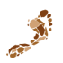 KALAHARI ANIB CAMPSITE Logo