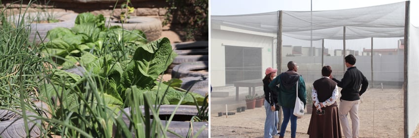 Community engagement activities showing a sustainable vegetable garden and a Gondwana Care Trust representative displaying a handcrafted woven basket.