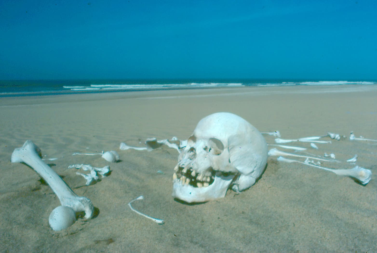 The Stewardship Of The Skeleton Coast