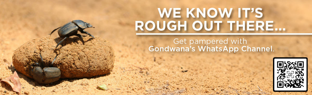 Gondwana Collection Namibia WhatsApp Deals Channel promotional banner
