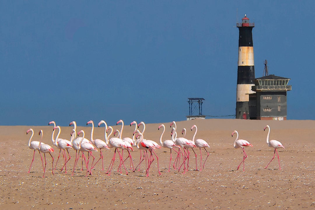 The Admiral Walvisbay