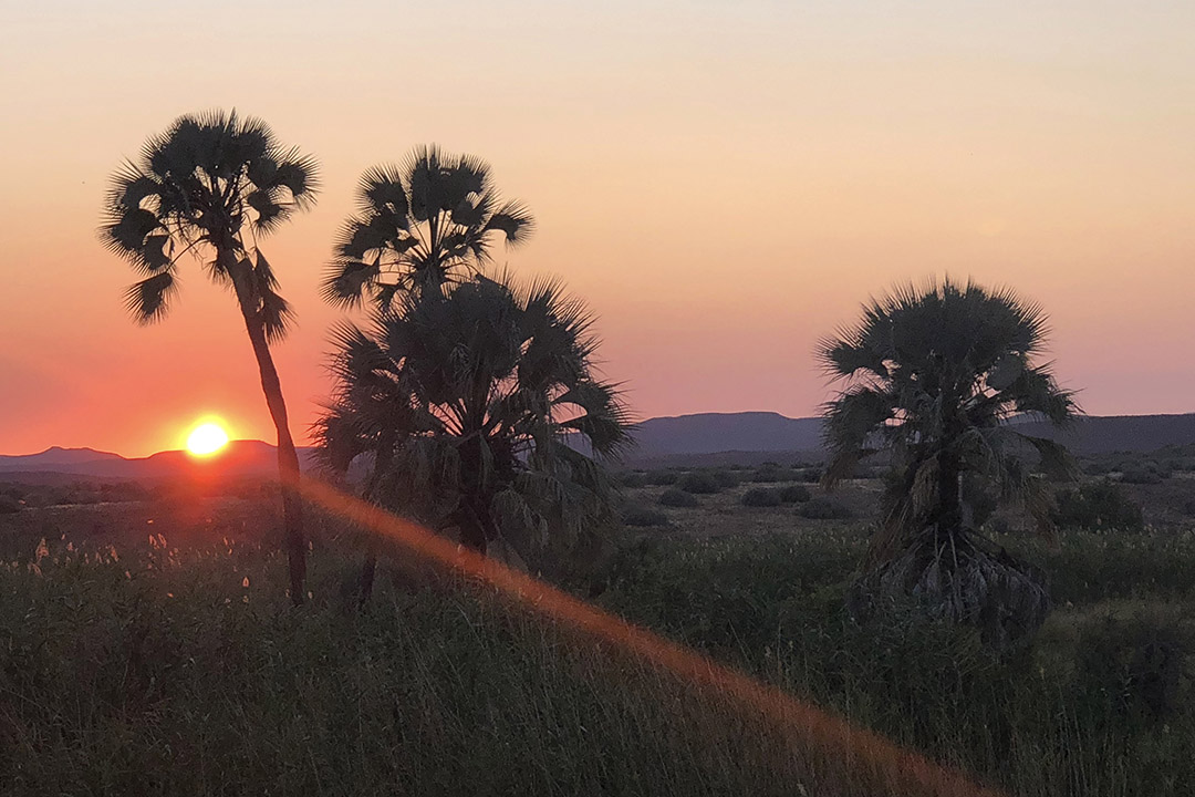 Palmwag Camping2go