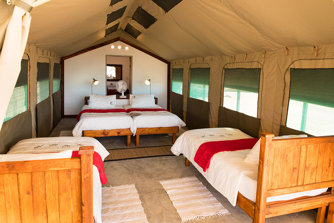 Etosha Safari Camping2go