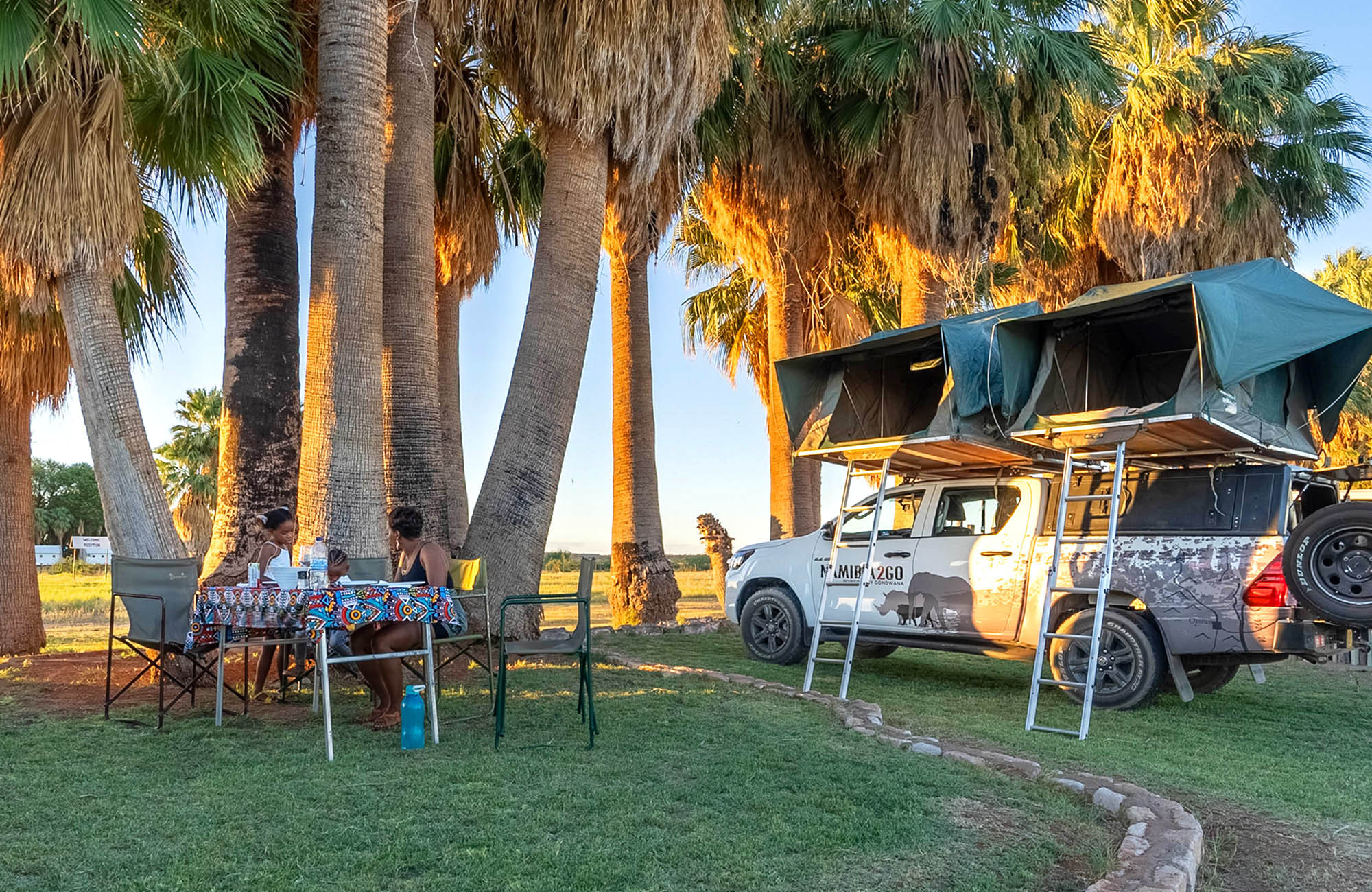 Kalahari Farmhouse Campsite, Car with roof tent, palm trees, Namibia