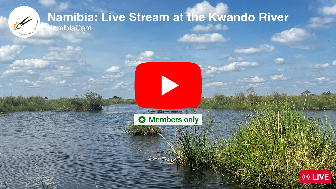Stream at the Kwando River