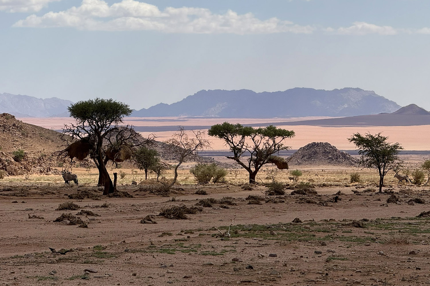 Luna Namib Collection