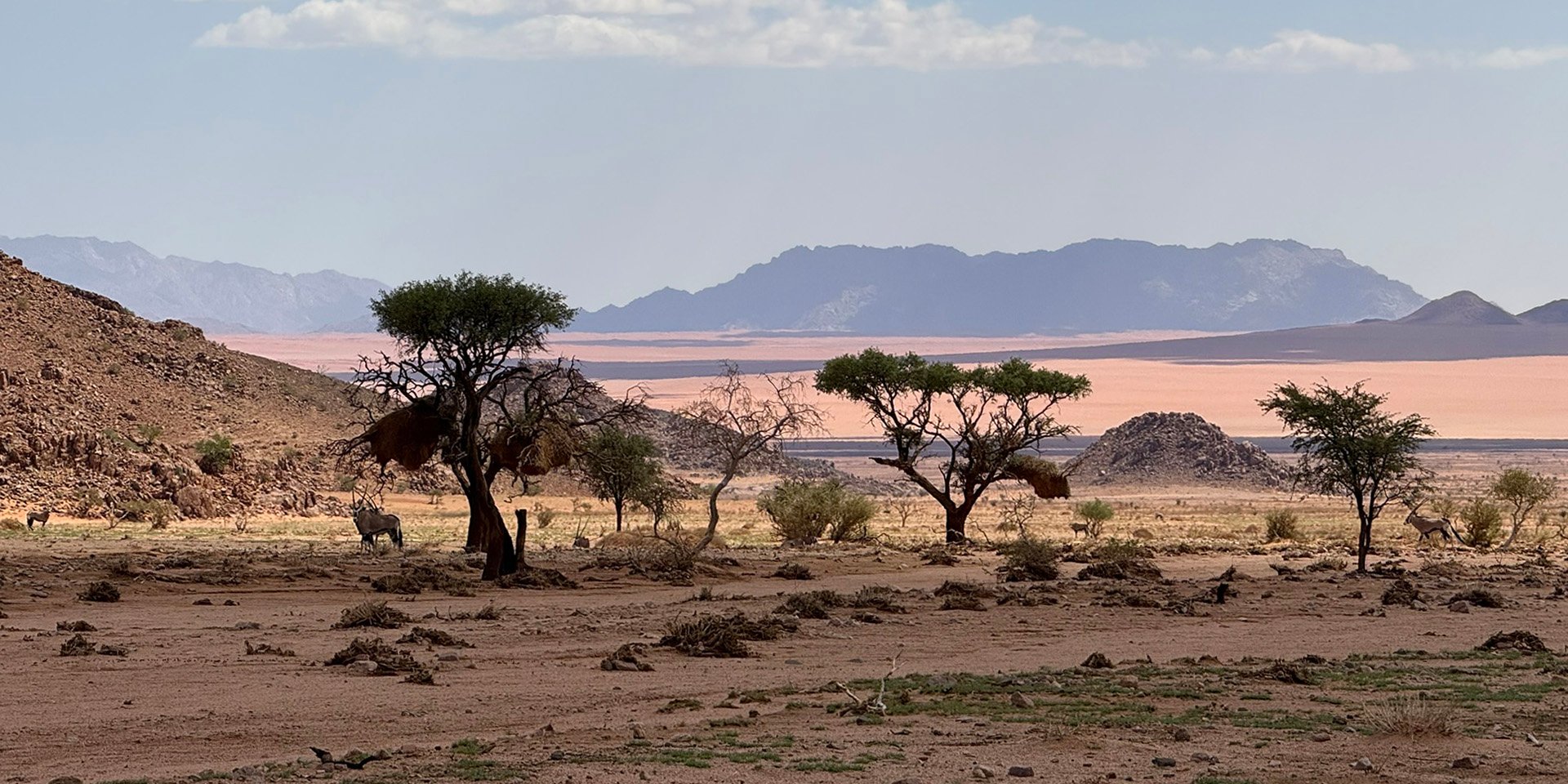 Luna Namib Collection landscape oryx_Jens Vietor