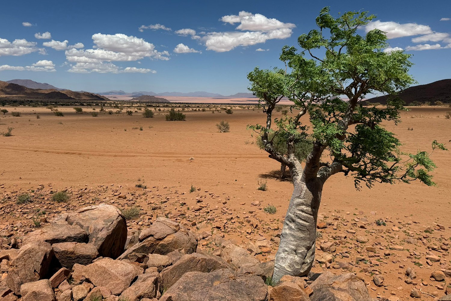 Luna Namib Collection