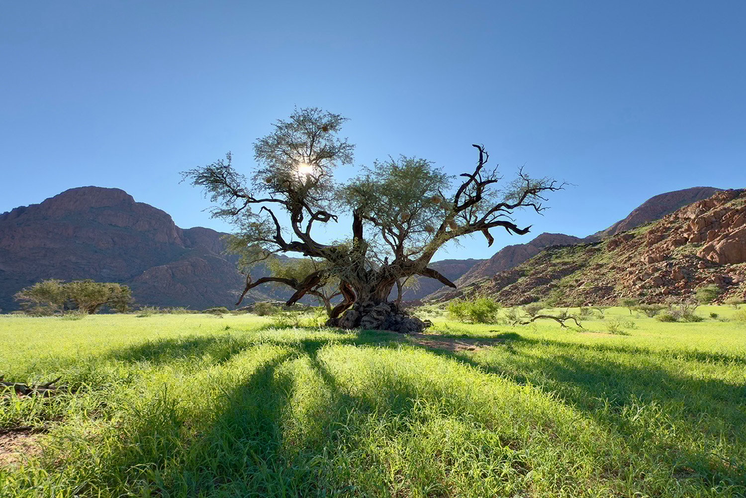 Luna Namib Collection