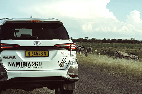 Namibia2Go rental vehicle_Gui Levvandosky