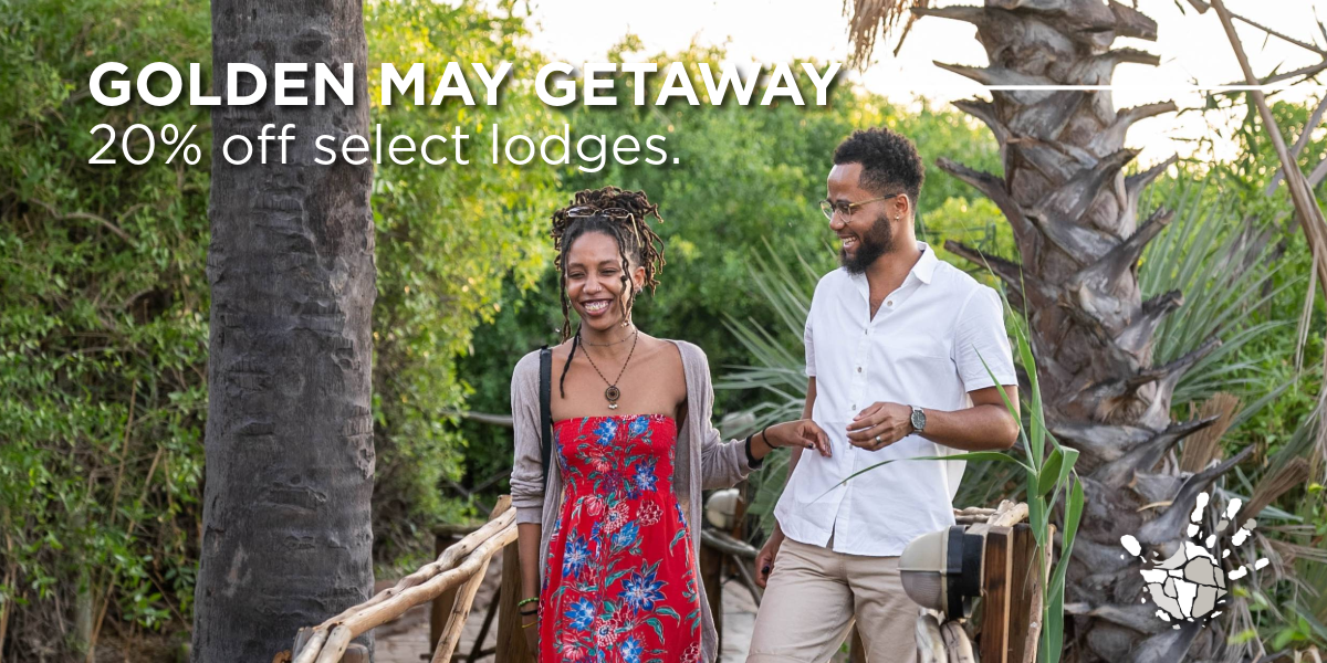 Golden May Getaway, Sonderangebot für Lodges, Namibia