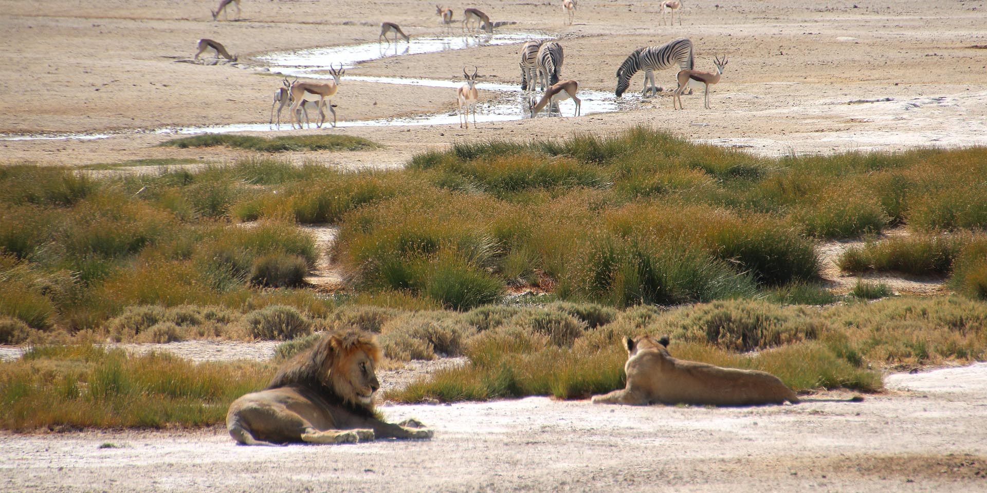 Erlebnisse Quelle Okondeka Etosha Nationalpark erheblich teurer Namibia erhöht Gebühren Besuch Nationalparks 1. April 2026 um 80 bis 100 Prozent Foto Sven-Eric Stender