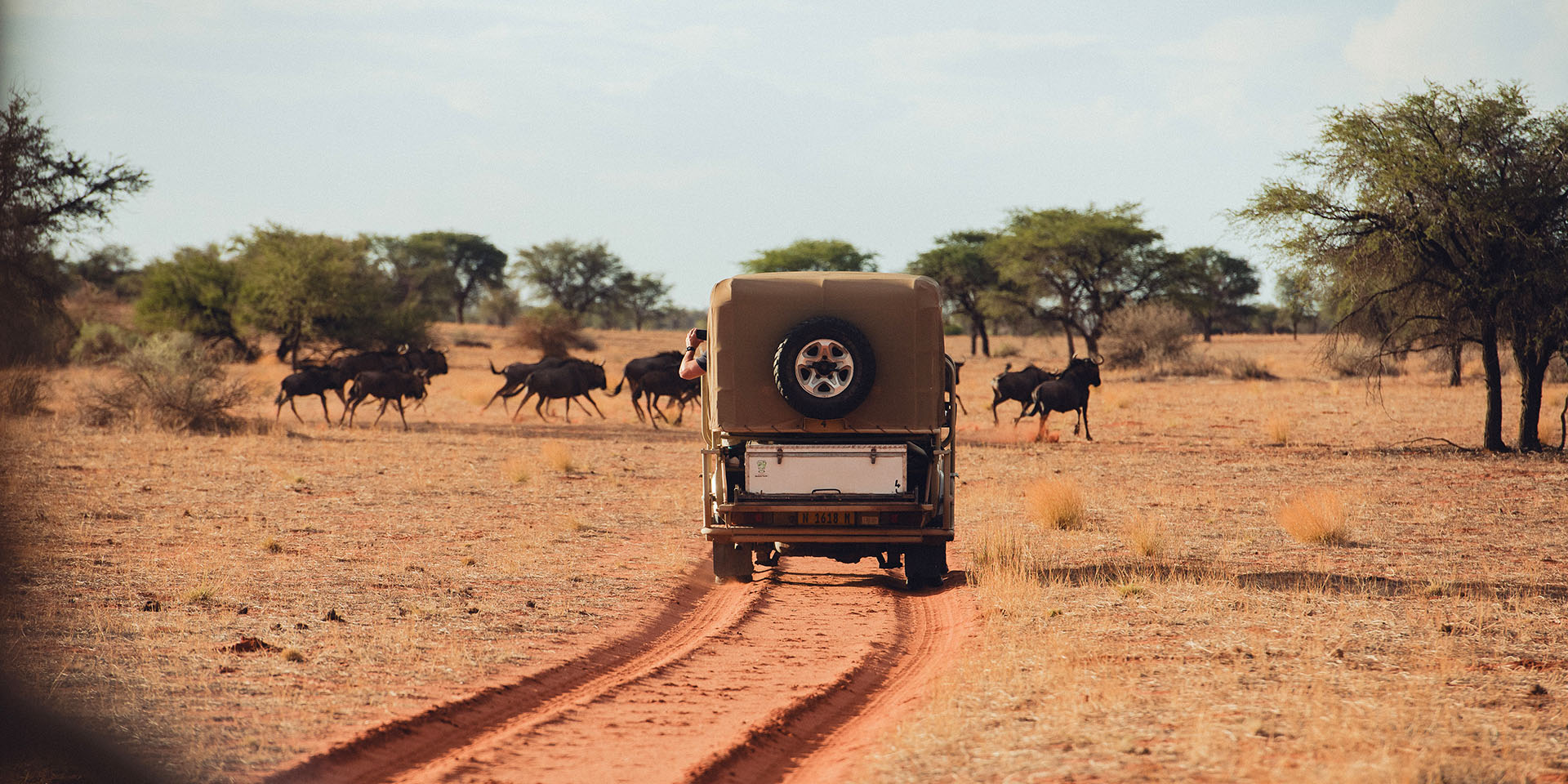 Game drive vehicle in Namibia