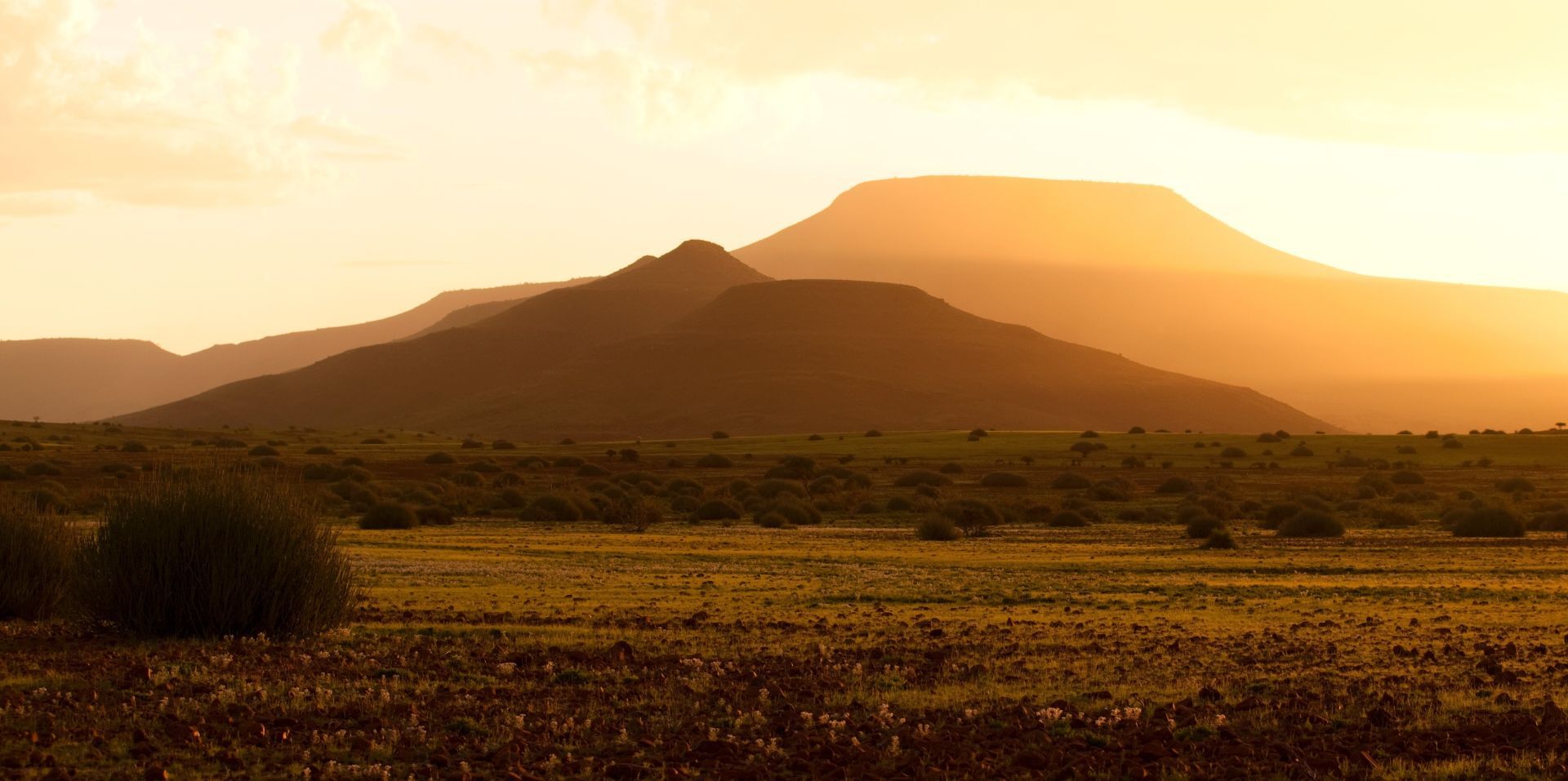 Palmwag Concession, Gondwana Collection Namibia, Namibia
