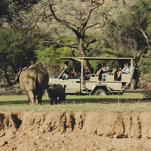 Game Drives, Namibia Emidio Horaeb Game Drives, Namibia Emidio Horaeb
