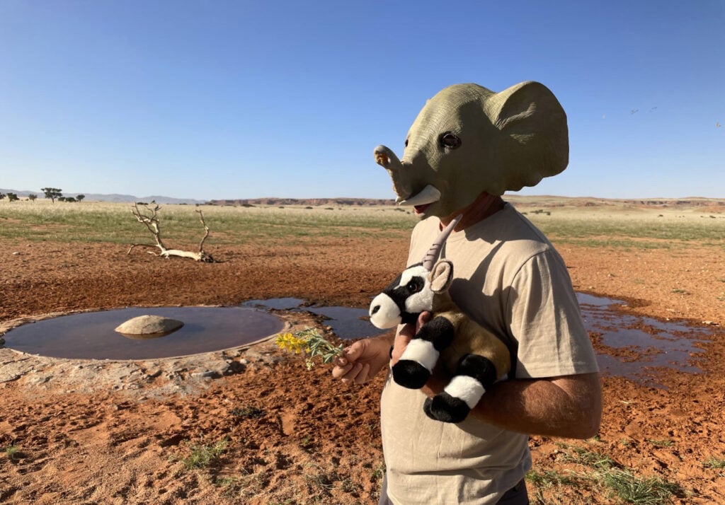 Jens Viëtor, Namib-Webcam