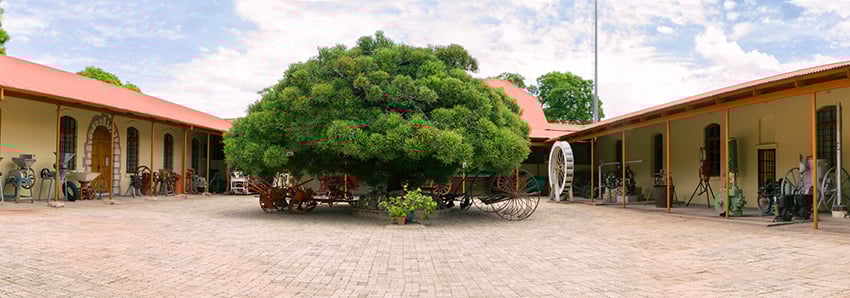Grootfontein Museum