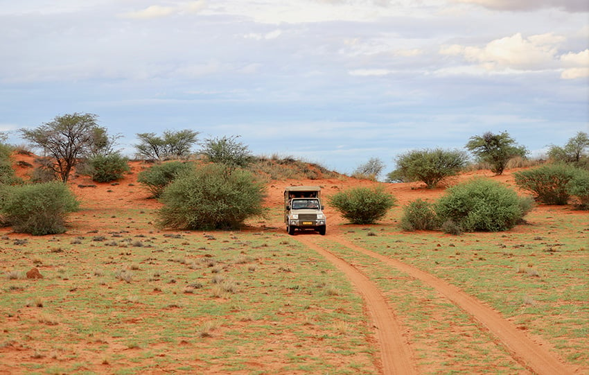 Namibia Kalahari