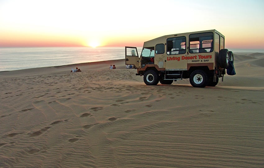 Living Desert Tours