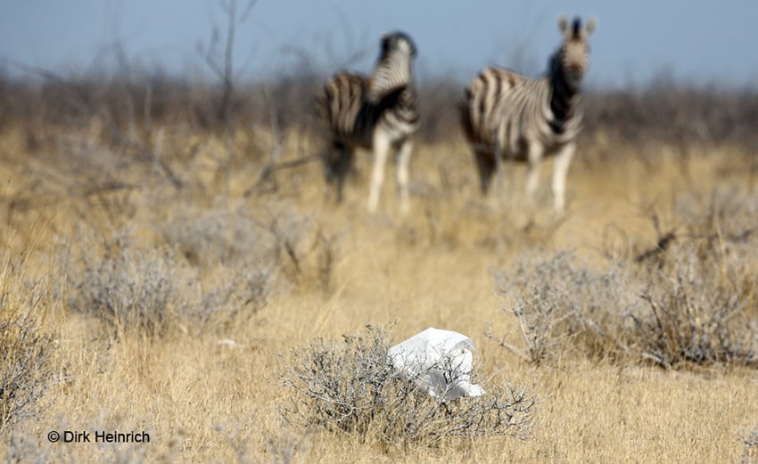 Umweltschutz Namibia