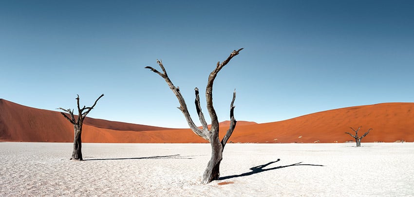 Baumskelette Deadvlei Namibia