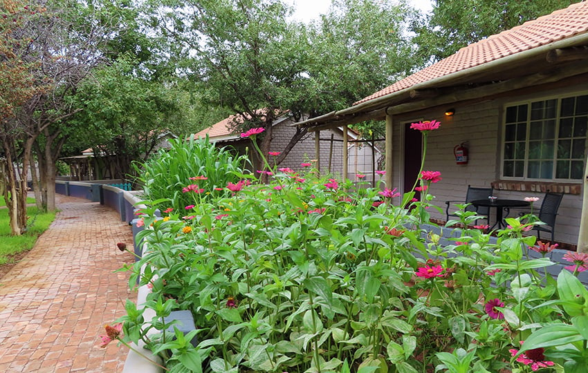 Damara Mopane Lodge Schrebergarten