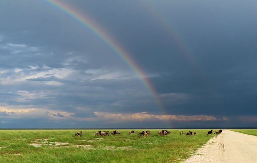 Regenbogen Namibia