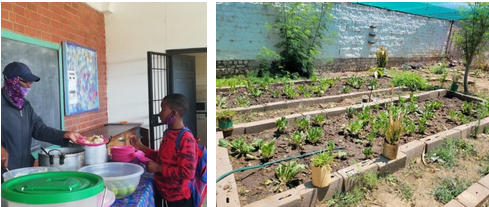 the school garden