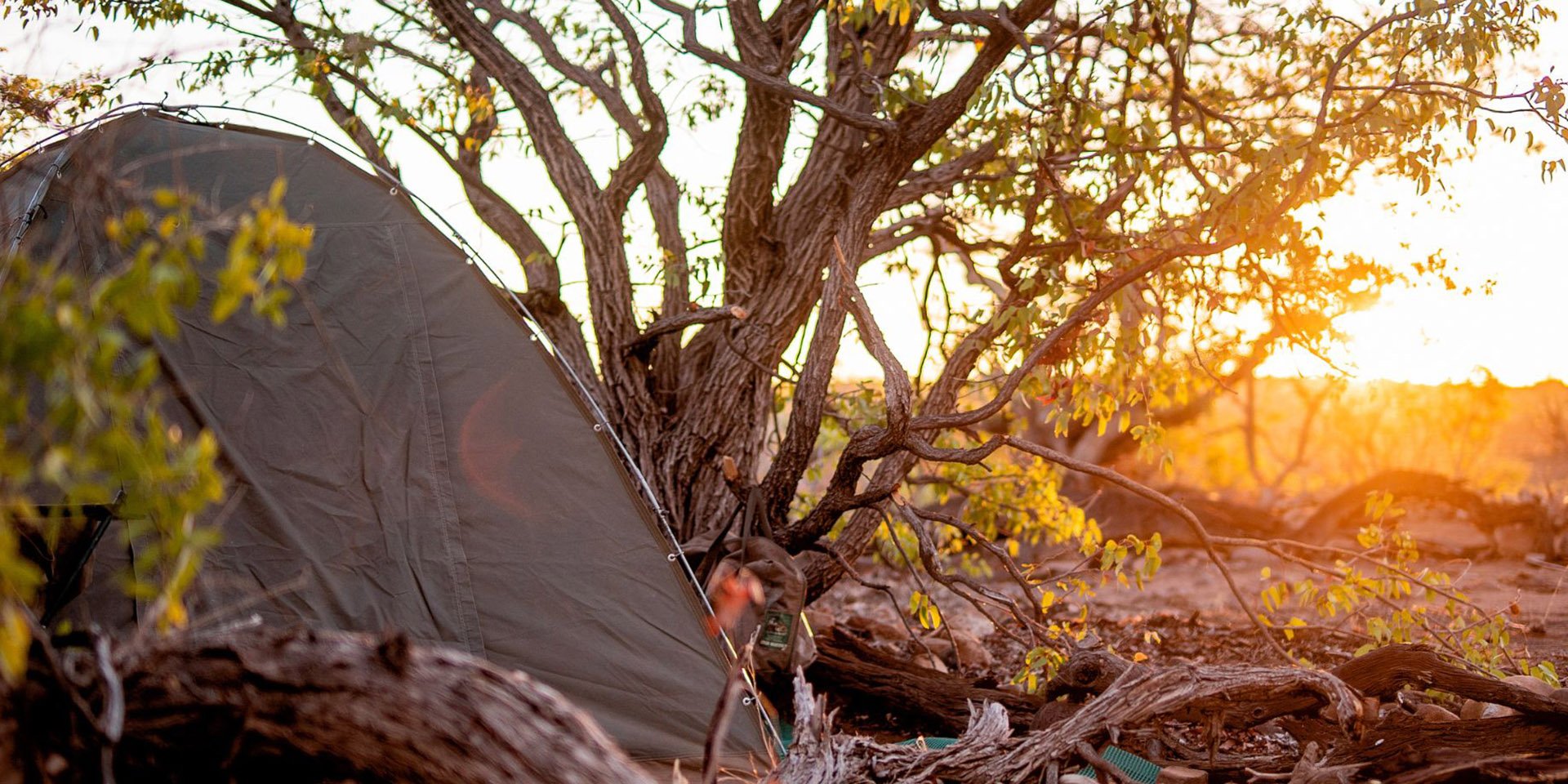 Tent under a tree, sunset, Namibia