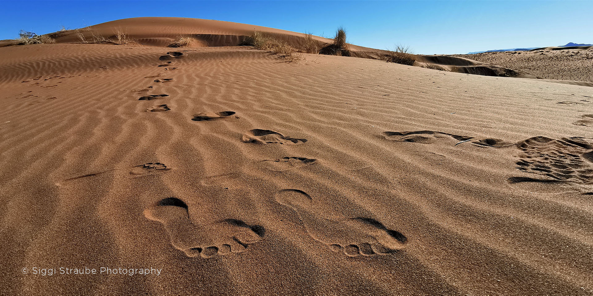 Footsteps on sand dune, Namibia