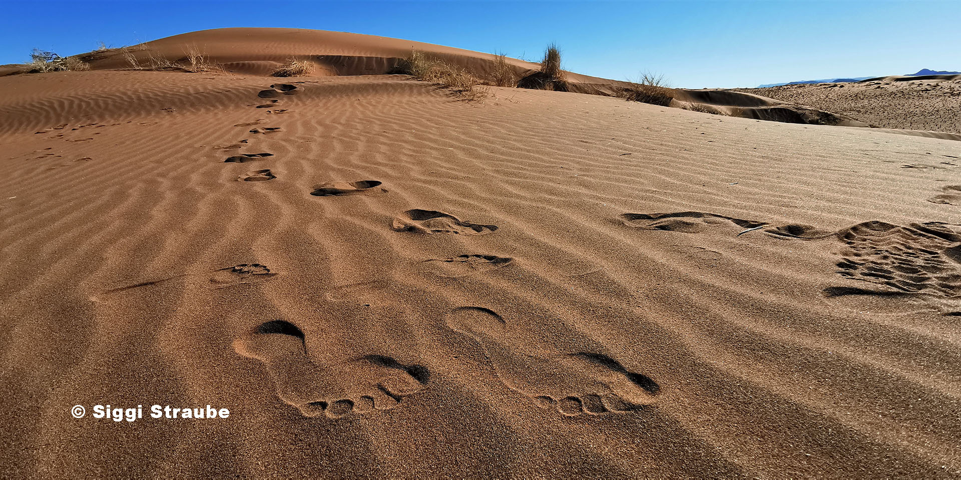 Fußspuren im Sand, Namibia