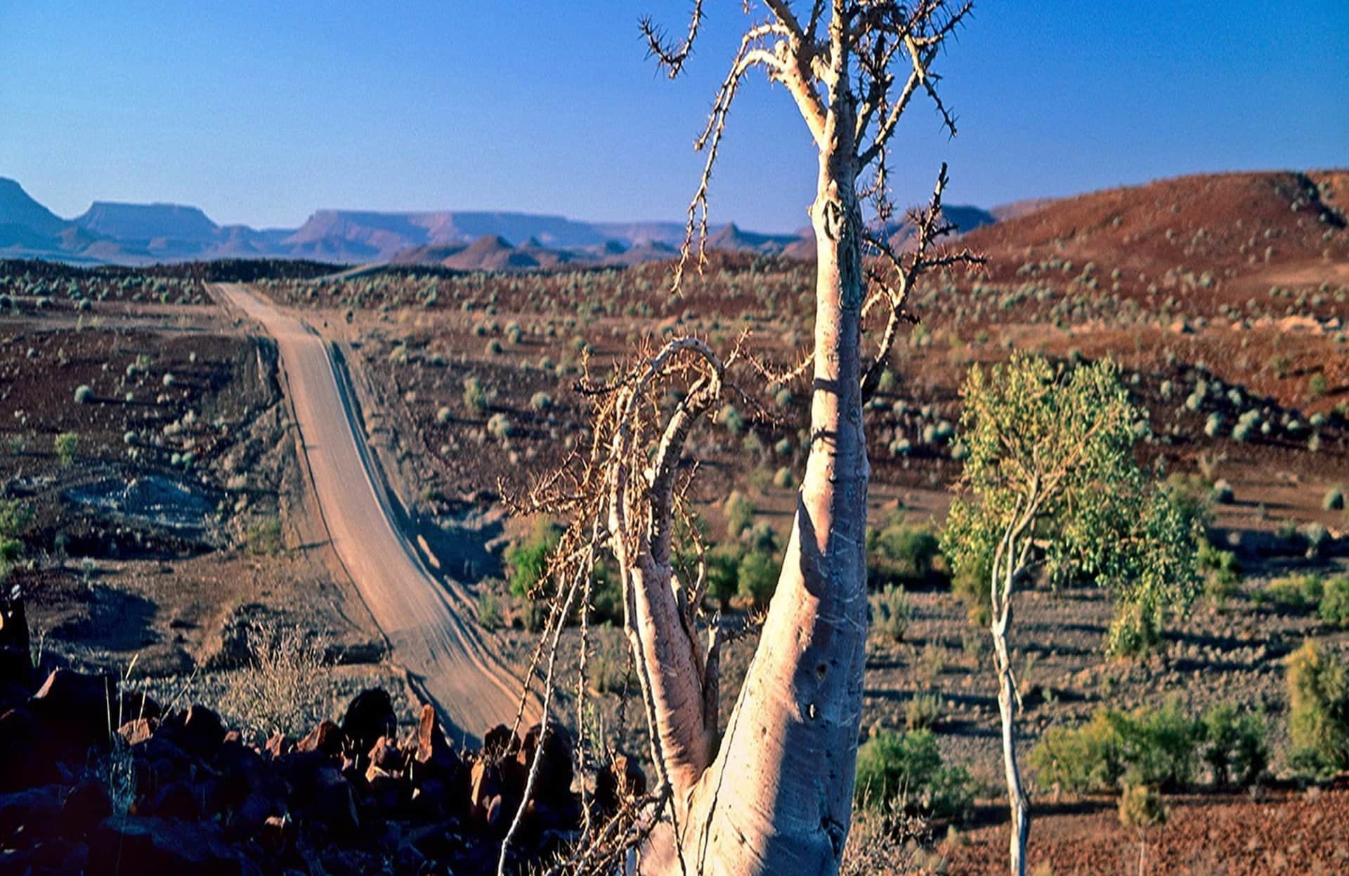 Road in Damaraland, Namibia