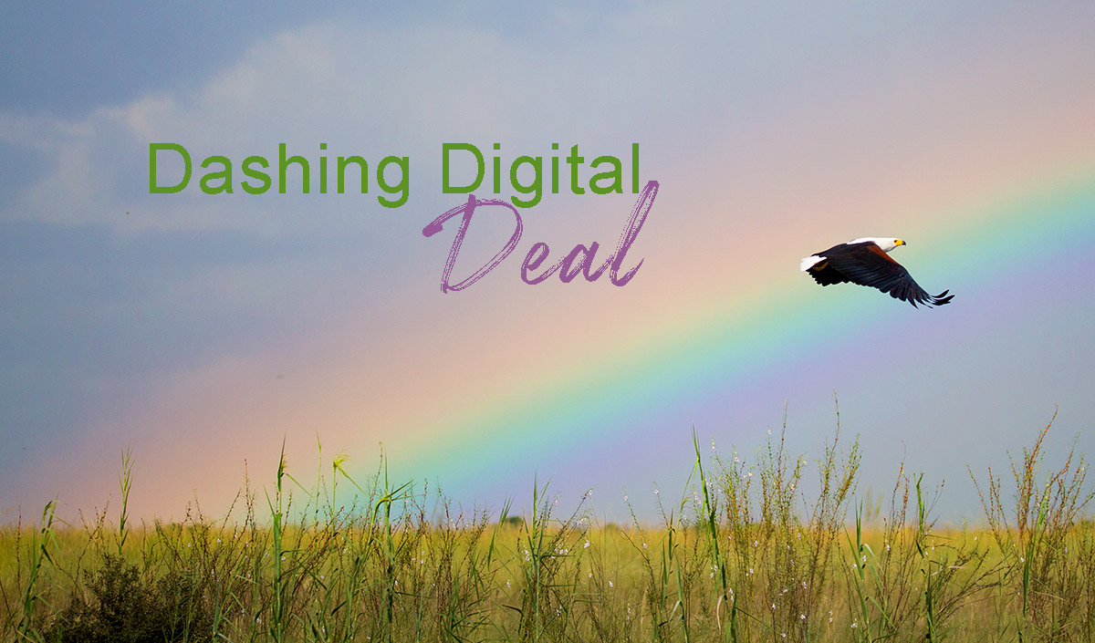 Dashing Digital Deal, Gondwana Collection Namibia
