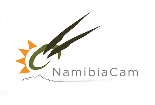NamCam logo