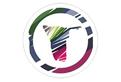 Namibian org logo