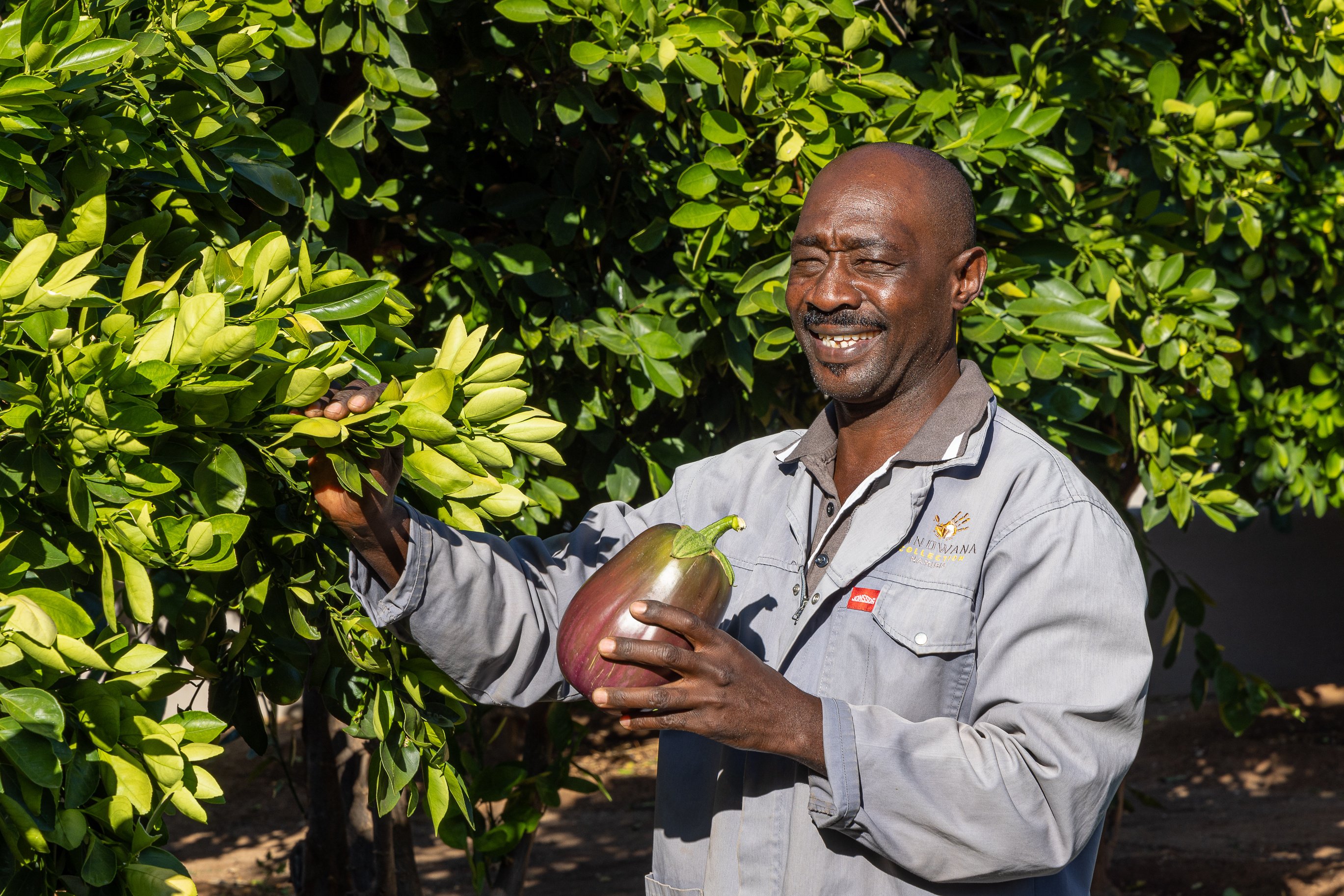 Gardener at Damara Mopane Lodge, holding an egg plant, Namibia