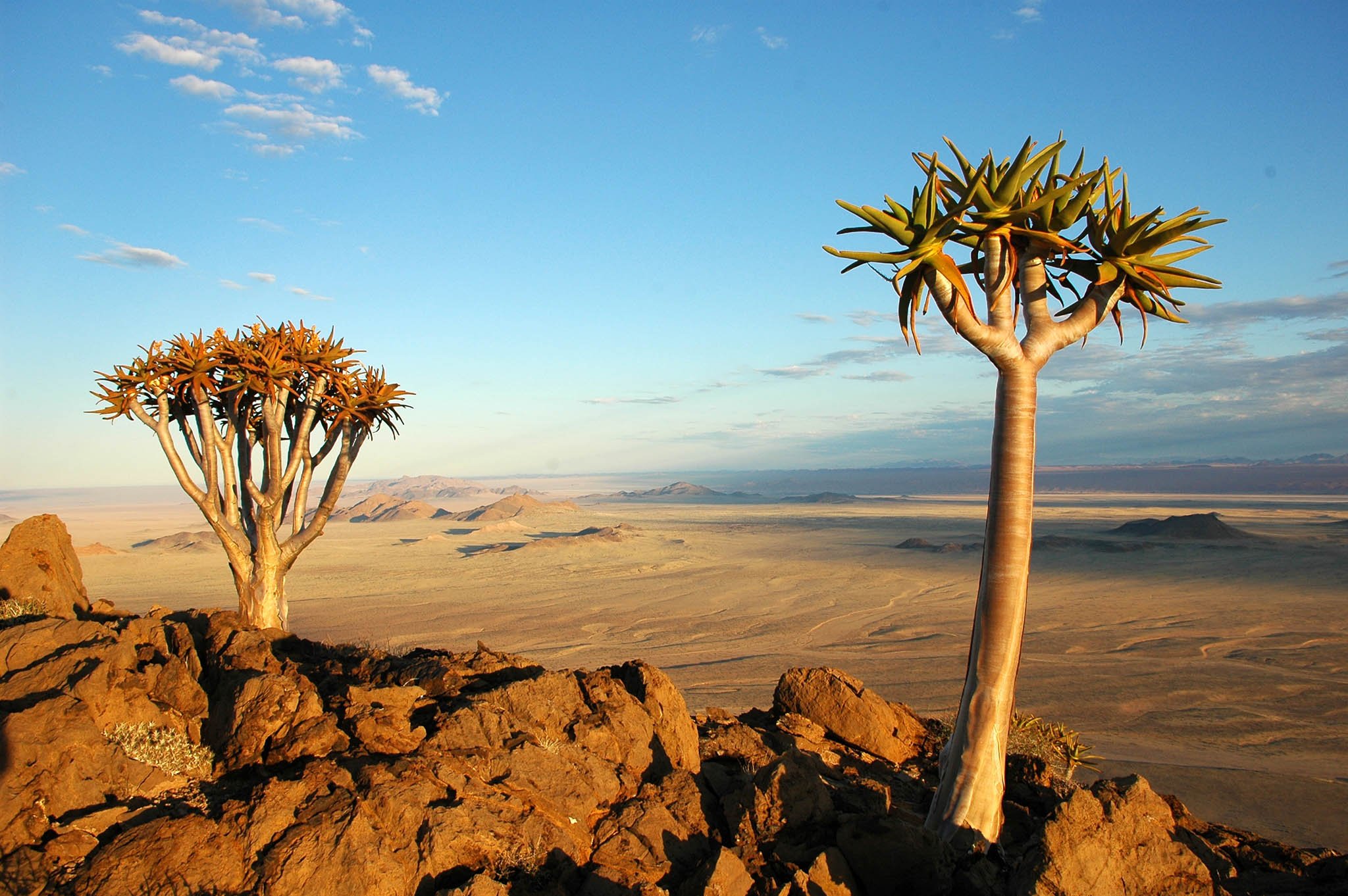 Klein-Aus Vista, Quiver Trees, Mountains, Desert, Namibia